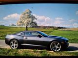 Chevrolet Camaro 3.6 V6 Xenon Schalter PDC - Chevrolet Camaro aus 2012