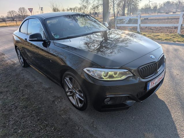 BMW 230 Baureihe 2 Coupe 230 i M Sport/Performance