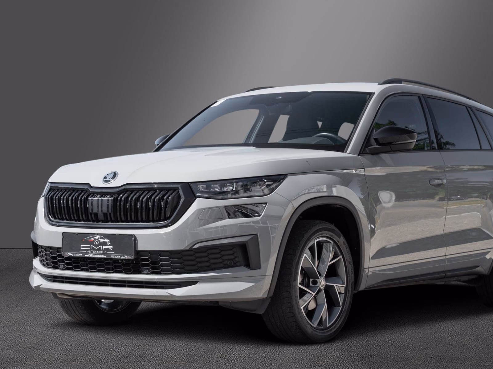 Skoda Kodiaq Sportline AHK Business-P. Amundsen DAB+