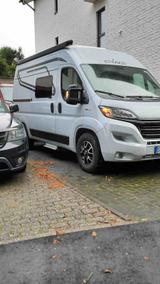 Etrusco CV 540 DB Complete Edition - Etrusco CV