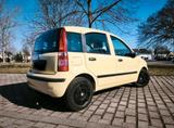 Fiat Panda - Fiat Panda in Halle