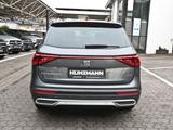 Seat Tarraco 2.0 TSI Xcellence 4Drive OPF AHK Panoram - Seat: Pickup
