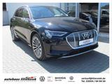 Audi e-tron 55 300 kW quattro advanced AHK/B&O/LED