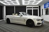 BMW 435 Cabrio 1.Hand Leder SHZ Head UP RFK NAVI LED - BMW 435: Cabrio