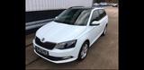 Skoda Fabia 1.2l TSI 66kW Joy AHK Pano 8Fach SHZ - Skoda Fabia mit Benzin-Antrieb: Kombi, 1.6