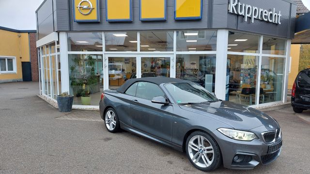 BMW 218 Baureihe 2 Cabrio 218 i M Sport