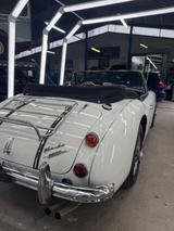 Austin Healey MK2 - Austin Healey Gebrauchtwagen