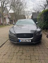 Jaguar XE E-Performance 163PS Prestige Automatik Pr... - Jaguar: Performance