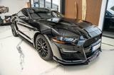 Ford Mustang GT 5,0 GT 500 SHELBY PERORMANCE - Ford Mustang: Shelby Gt500