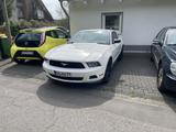 Ford Mustang Mustang 2010 4 Liter V6 - gebrauchte Ford Mustang aus dem Jahr 2010