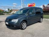 Volkswagen Caddy Maxi 2.0 TDI 140 5p. Life Duo 7 - Volkswagen Caddy: 14 D