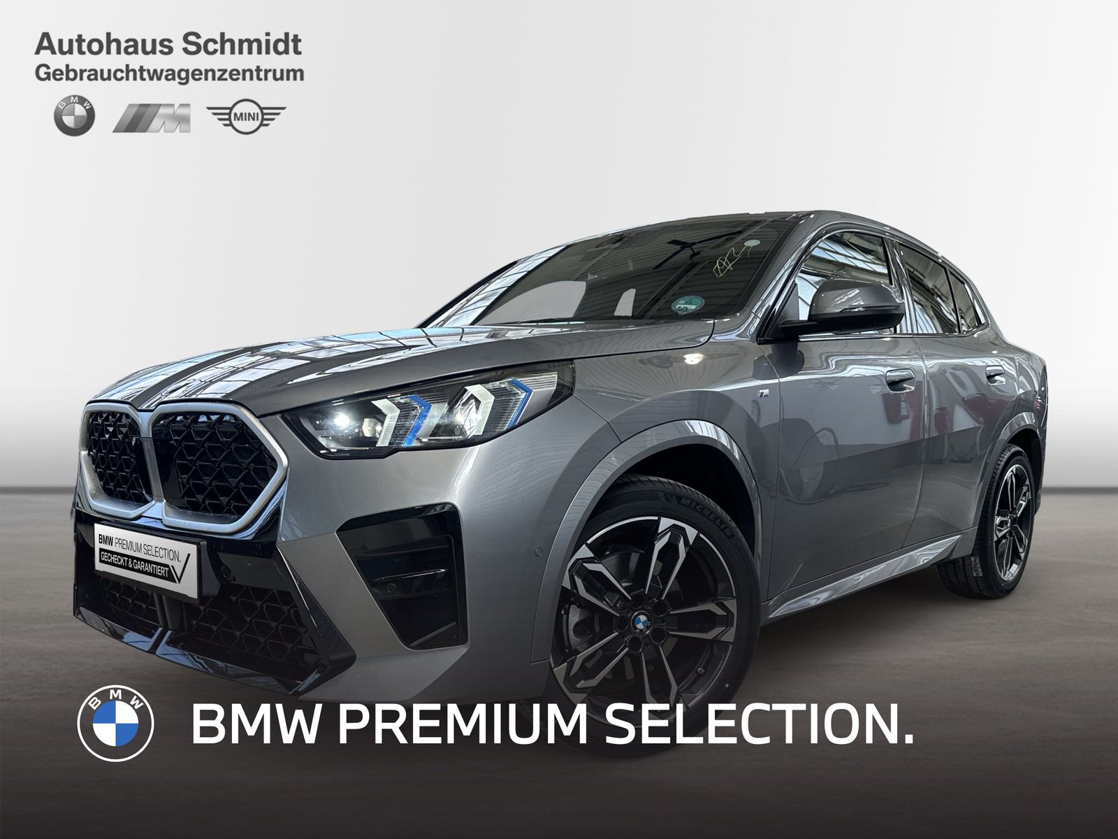 BMW X2 sDrive20i 395€ netto/mtl.*M Sportpaket*19"*LC