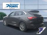 Ford Kuga Plug-In Hybrid Vignale HUD+LED+ACC+TWA+FALS - Ford Kuga in Chemnitz