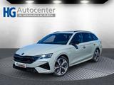 Skoda Octavia Combi 2.0TSI RS 19"AHK PanoStandh.Leder - mit Benzin-Antrieb: Kombi, 2.0