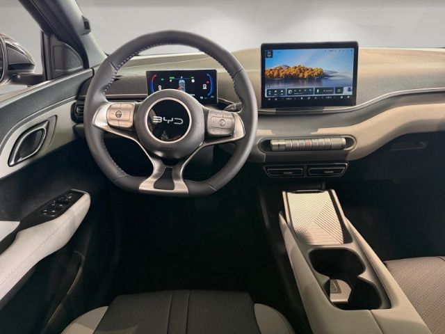 BYD DOLPHIN SURF