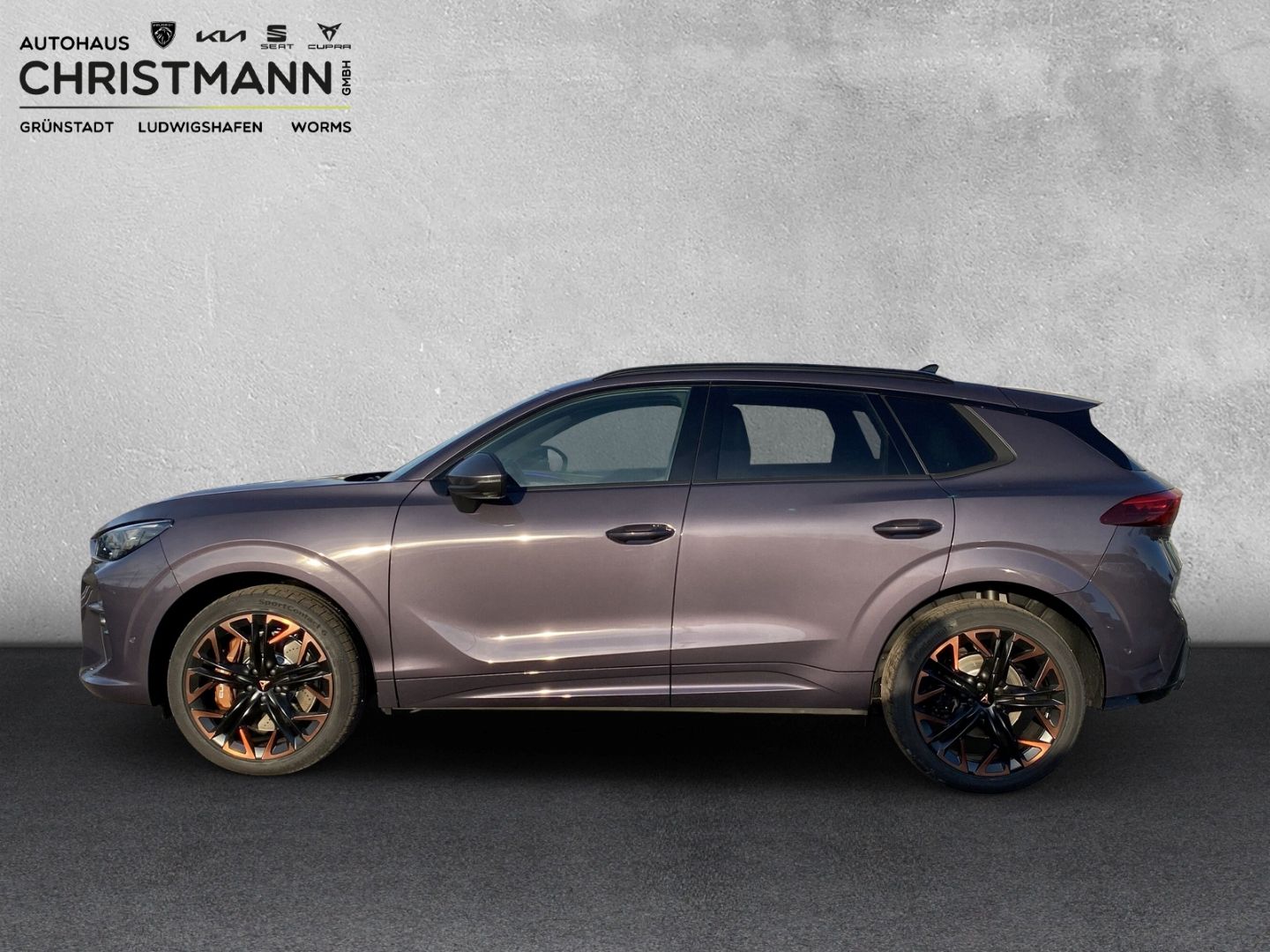 Fahrzeugabbildung CUPRA Terramar 195 kW 4Drive VZ*HUD*AHK*PANNO*Standhz*