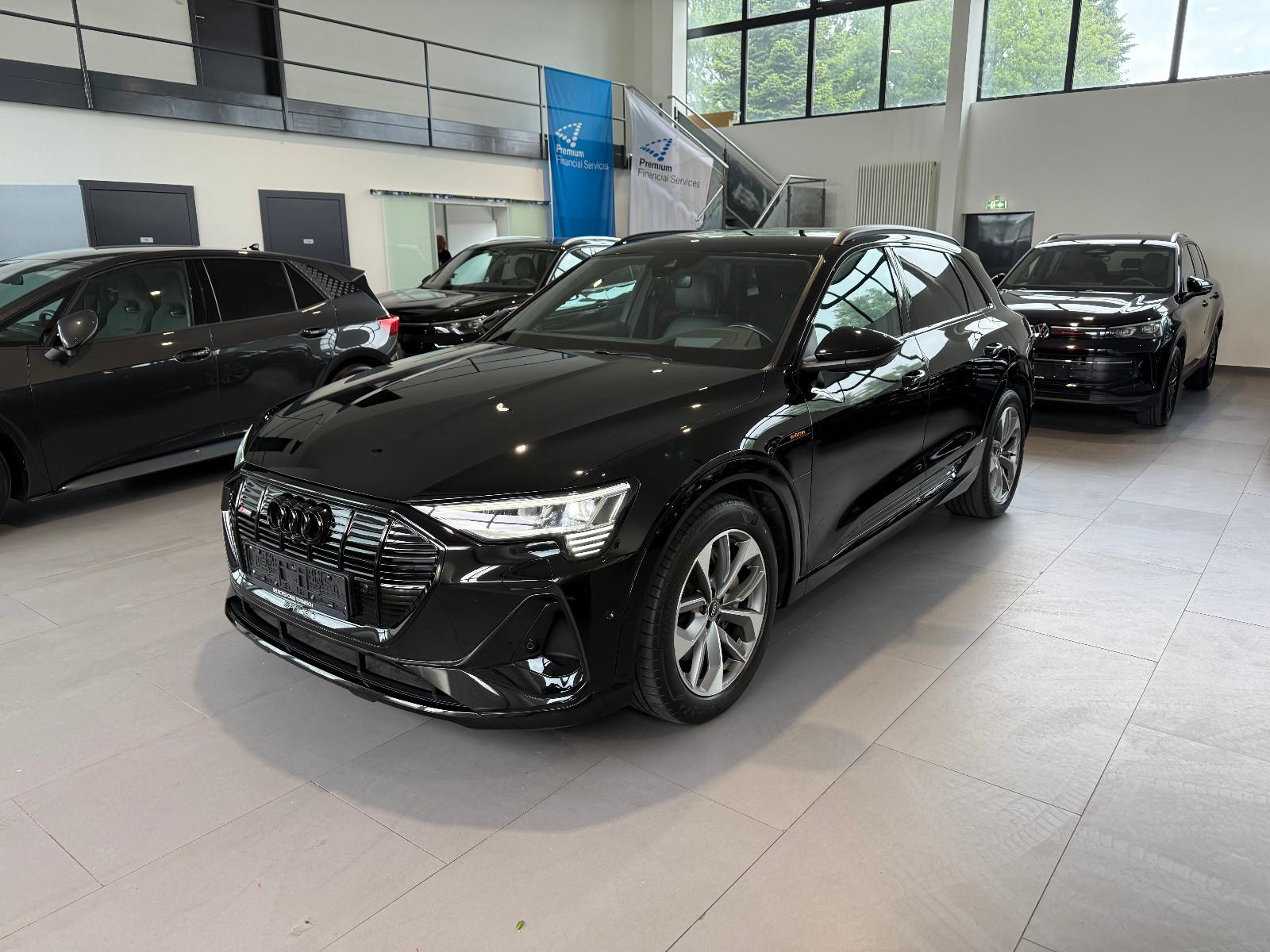 Audi e-tron 55 quattro S line MATRIX/B&O/AHK