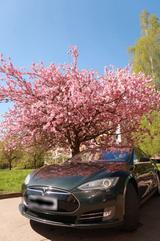 Andere Tesla Model S free supercharging sc01 - Andere: Model