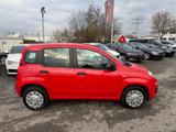 Fiat Panda Easy 1.2 69 PS 1.Ha Euro6d Klima Top.Zusta - Fiat Panda: Rot