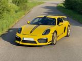 Porsche Cayman GT4/KURZES GETRIEBE/CLUBSPORT/KERAMIK-BR. - Porsche Cayman: Gt4