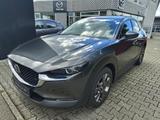 Mazda CX-30 2025 2.0L e-SKYACTIV X Exclusive-line GSD - Mazda CX-30 mit Panoramadach