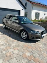 Audi A3 1.6 TDI (DPF) 77kW Ambition Sportback Amb... - Audi A3: Sportback Dpf