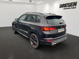 Cupra Ateca 2.0 TSI DSG Tempomat+Navi+ 360 Grad Kamera - mit Benzin-Antrieb: Geländewagen, 2.0