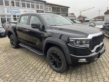 Bild 3 Foton 4 PickUp DoKa 4WD - Heckklappe mit Trittbrett