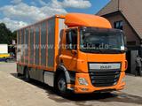 DAF CF 400 4x2 1.Stock Menke-Janzen Viehtransporter - DAF 400