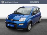 Fiat Panda 1.0 GSE Hybrid Radio/Tempomat/PDC - Fiat Panda: 1.1