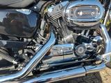 Harley-Davidson Sportster Custom Bike XL1200C - Offers