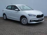 Skoda Fabia Ambition * DAB * Lane Assist * G+ 5 Jahre - Skoda Fabia: 5j