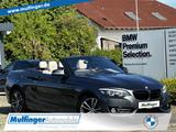 BMW 218i Cabrio Aut. Sport Leder Kamera Navi USB Alu - : Cabrio, Us