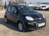 Fiat Panda MY24 1.0 Klima PDC Citypaket - Fiat Panda in Leipzig