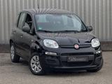 Fiat Panda 1.2*SERVICE NEU*KLIMA*REIFEN-NEU - Fiat Panda: Schwarz