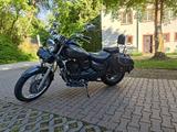 Daelim VL125F Daystar FI - sehr gepflegt - DAELIM 125