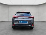 Lexus UX 250h F-Sport Design - Lexus UX: F Sport Design