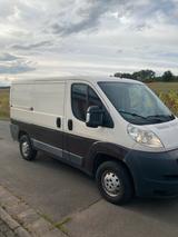 Fiat Ducato 250 L1H1 - Fiat Ducato: 250l
