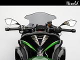 Kawasaki Ninja 1000SX Performance Tourer - Kawasaki Motorräder in Nürnberg
