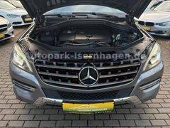 MERCEDES-BENZ ML 250 BlueTEC 4MATIC*Pano*RFK*4xSHZ*Start/Stop*