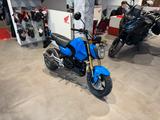 Honda MSX 125 Grom Blau *Tageszulassung 08-25* - HONDA MSX