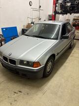 BMW E36 318Tds im Top Zustand - BMW 318: 318td