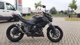 Kawasaki Z 300 SERVICE NEU 1. HAND TÜV - NAKED BIKE VON 251 BIS 500 CCM