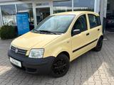 Fiat Panda 1.2 8V Dynamic *AUTOMATIK 1.HAND - Fiat Panda: Automat