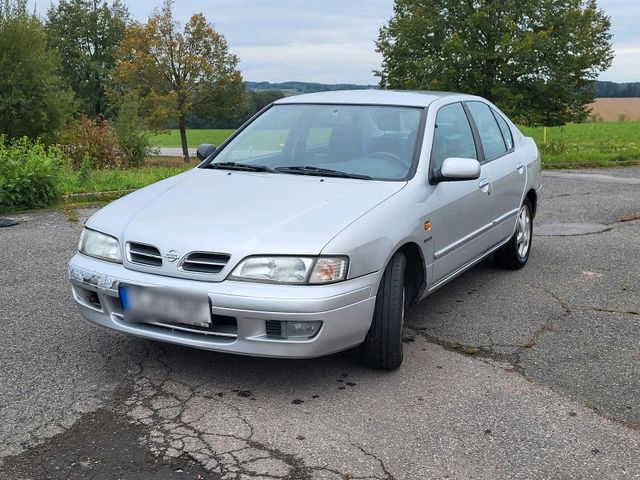 Nissan Primera P11 BJ 1998