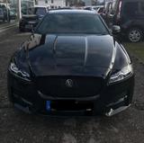 Jaguar XF 25d AWD 240PS R-Sport Automatik R-Sport