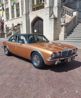 Jaguar Daimler Van Den Plas V12