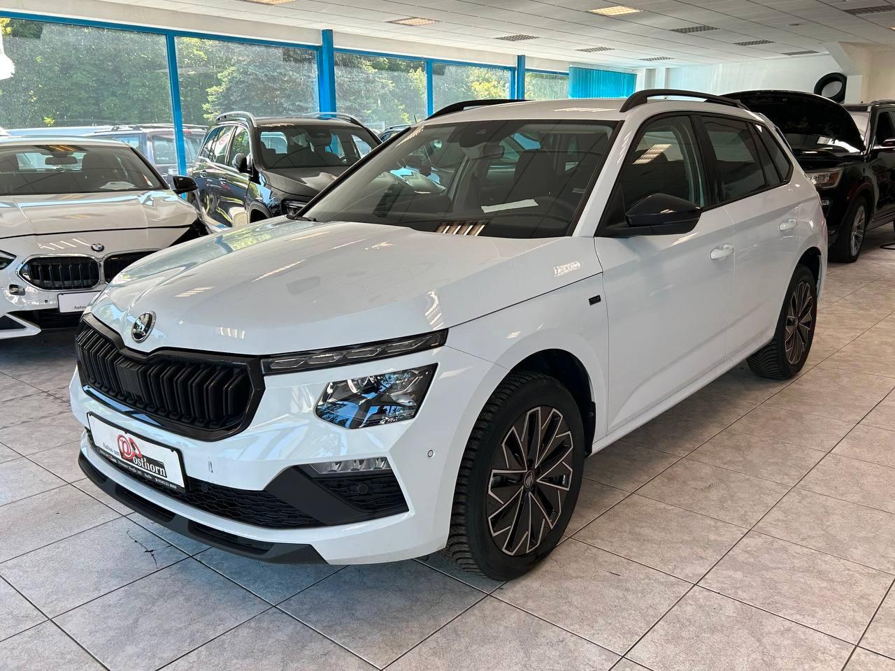 Skoda Kamiq Tour Navi Klima LED Sitzh Kamera