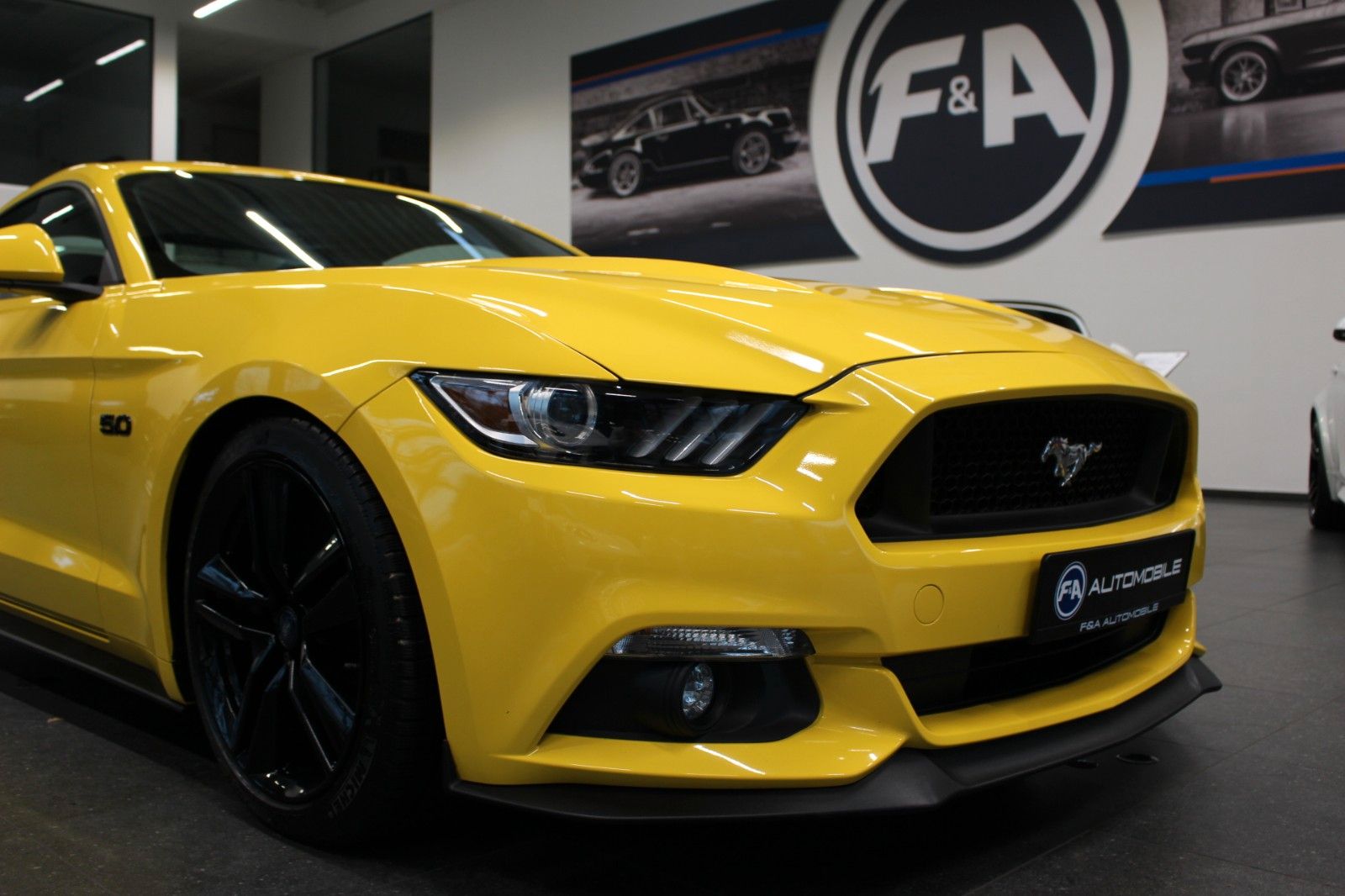 Fahrzeugabbildung Ford Mustang 5.0 V8 GT Performance-Paket+KW-Fahrwerk