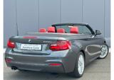 BMW 228i A M-SPORT 8-GANG LEDER XENON SHZ NAVI PDC - BMW Gebrauchtwagen von 2015